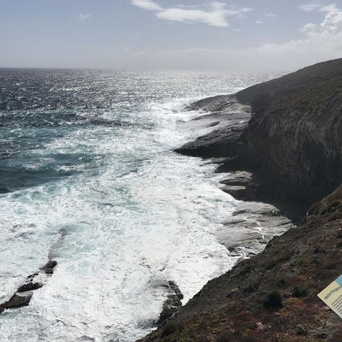 Kangaroo Island In A Day Tour From Adelaide - Accommodation Port Hedland 6