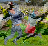 Mclaren Vale Luxury Full Day Small Group Wine Tour - Accommodation Port Hedland