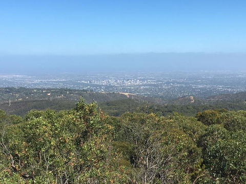 Adelaide Hills And Hahndorf Tour From Adelaide With Wine And Cheese Tasting - Accommodation Port Hedland 8