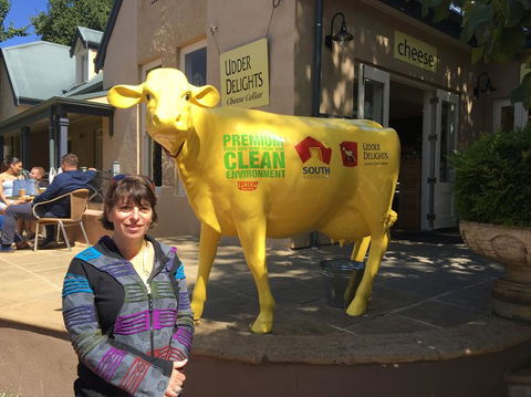 Adelaide Hills And Hahndorf Tour From Adelaide With Wine And Cheese Tasting - Accommodation Port Hedland 2