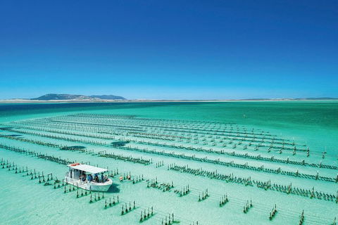 Coffin Bay Private Day Tour From Port Lincoln - A Taste Of Coffin Bay - Accommodation Port Hedland 0