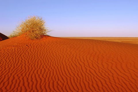 Adelaide To Coober Pedy 7 DAY SMALL GROUP 4WD SAFARI - Accommodation Port Hedland 3