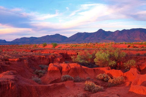 Adelaide To Coober Pedy 7 DAY SMALL GROUP 4WD SAFARI - Accommodation Port Hedland 7