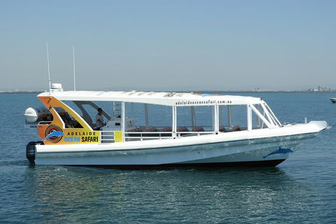 Adelaide Ocean Safari - Wild Dolphin Safari - Accommodation Port Hedland 0