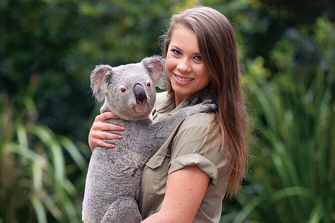 Croc Express To Australia Zoo From Brisbane - Accommodation Port Hedland 7