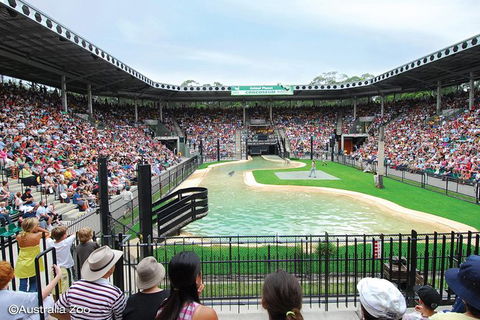 Croc Express To Australia Zoo From Brisbane - Accommodation Port Hedland 12