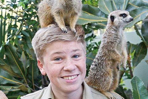 Croc Express To Australia Zoo From Brisbane - Accommodation Port Hedland 9