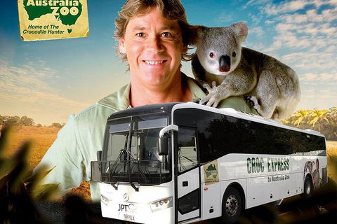 Croc Express To Australia Zoo From Brisbane - Accommodation Port Hedland 6