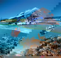 3-Day Southern Great Barrier Reef Tour Including Lady Musgrave Island - Accommodation Port Hedland