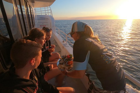 Hervey Bay Whale Watching Experience - Accommodation Port Hedland 15