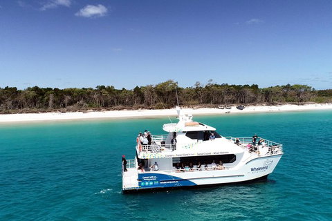 Hervey Bay Whale Watching Experience - Accommodation Port Hedland 11