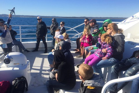 Hervey Bay Whale Watching Experience - Accommodation Port Hedland 10