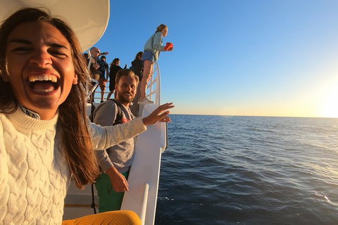 Hervey Bay Whale Watching Experience - Accommodation Port Hedland 9