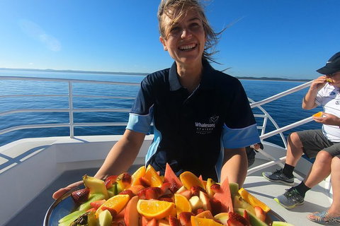Hervey Bay Whale Watching Experience - Accommodation Port Hedland 5