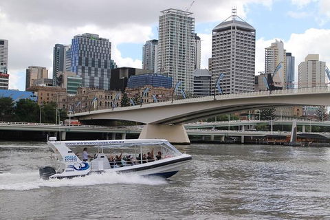Koala Express To Lone Pine Koala Sanctuary - Accommodation Port Hedland 0