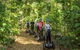 Whitsunday Segway Rainforest Discovery Tour - thumb 2