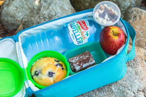 Whitsunday Segway Rainforest Discovery Tour - Accommodation Port Hedland 7