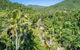 Whitsunday Segway Rainforest Discovery Tour - thumb 5