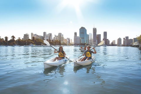 Brisbane Kayak Tour - Accommodation Port Hedland 4