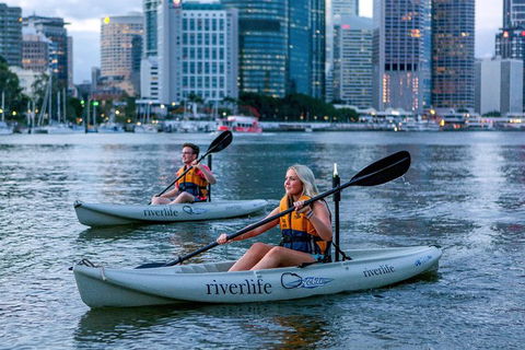 Brisbane Kayak Tour - Accommodation Port Hedland 3