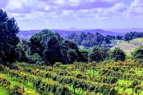 Queensland Food Tour: Farm-to-Table Indulgence - Accommodation Port Hedland 6