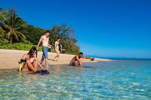 Half Day Low Isles Snorkelling Tour From Port Douglas - Accommodation Port Hedland 0