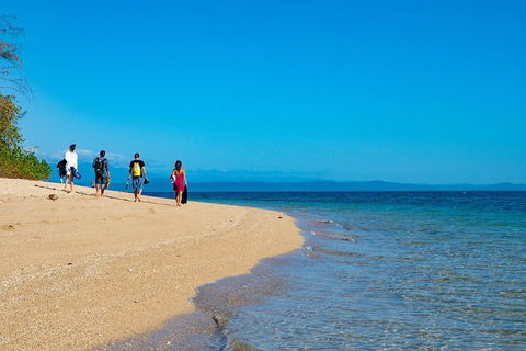 Half Day Low Isles Snorkelling Tour From Port Douglas - Accommodation Port Hedland 3