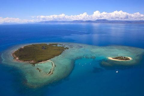 Half Day Low Isles Snorkelling Tour From Port Douglas - Accommodation Port Hedland 4