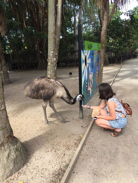 Wildlife Habitat Port Douglas - Accommodation Port Hedland 2