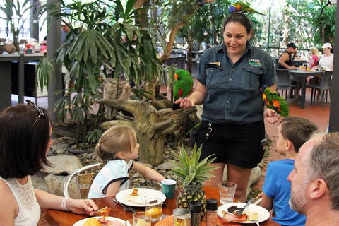 Wildlife Habitat Port Douglas - Accommodation Port Hedland 11