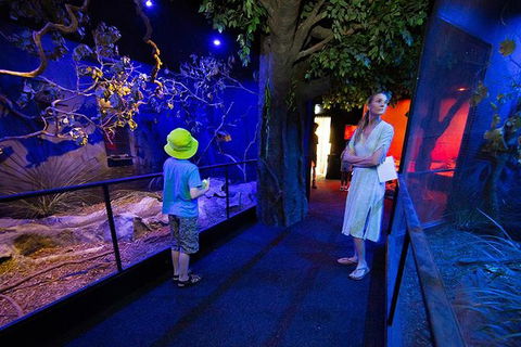 Wildlife Habitat Port Douglas - Accommodation Port Hedland 14