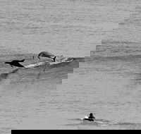 Overnight Tweed Coast Camping and Surfing Getaway From The Gold Coast - Accommodation Port Hedland