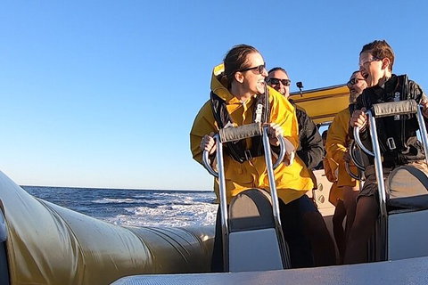 Noosa Oceanrider - Thrill Ride - Accommodation Port Hedland 5