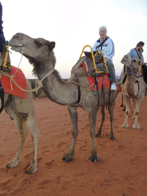 Uluru Small-Group Tour By Camel At Sunrise Or Sunset - Accommodation Port Hedland 2