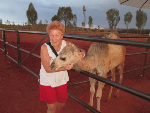 Uluru Small-Group Tour By Camel At Sunrise Or Sunset - Accommodation Port Hedland 18
