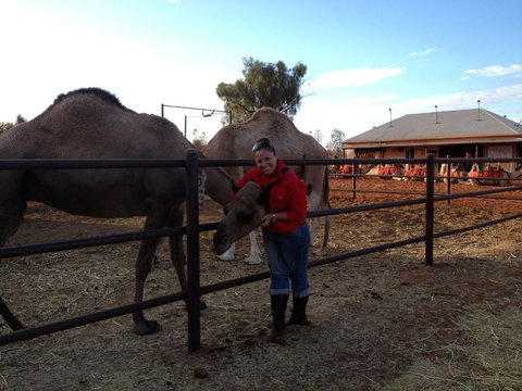 Uluru Small-Group Tour By Camel At Sunrise Or Sunset - Accommodation Port Hedland 21