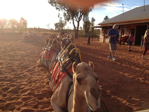 Uluru Small-Group Tour By Camel At Sunrise Or Sunset - Accommodation Port Hedland 22