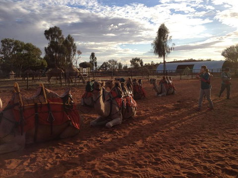 Uluru Small-Group Tour By Camel At Sunrise Or Sunset - Accommodation Port Hedland 23