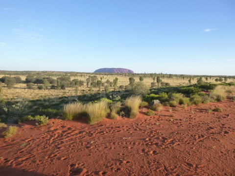 Uluru Small-Group Tour By Camel At Sunrise Or Sunset - Accommodation Port Hedland 9