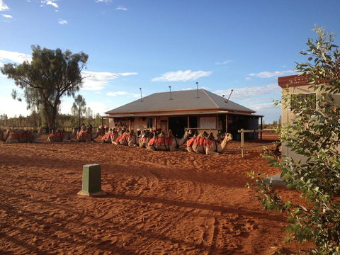 Uluru Small-Group Tour By Camel At Sunrise Or Sunset - Accommodation Port Hedland 20