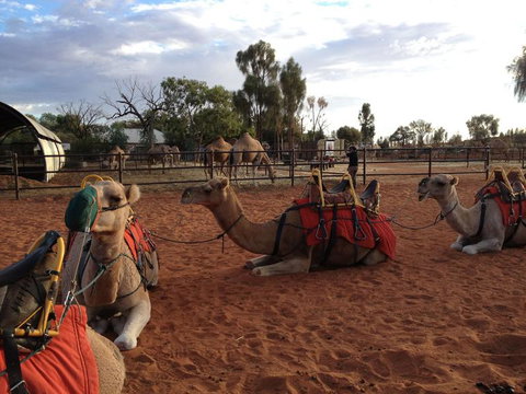 Uluru Small-Group Tour By Camel At Sunrise Or Sunset - Accommodation Port Hedland 24