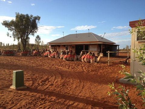 Uluru Small-Group Tour By Camel At Sunrise Or Sunset - Accommodation Port Hedland 19