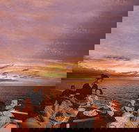 Darwin Harbour Sunset Cruise with Optional Buffet Dinner - Accommodation Port Hedland