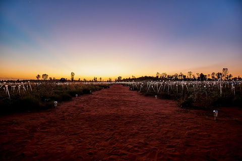 Uluru Field Of Light Sunrise Tour - Accommodation Port Hedland 14