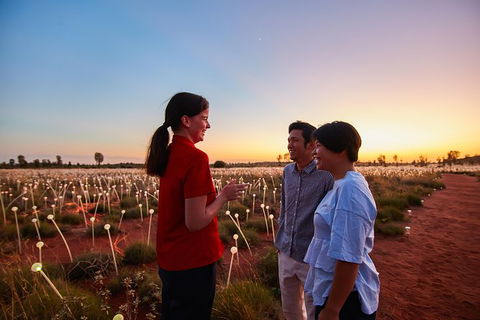 Uluru Field Of Light Sunrise Tour - Accommodation Port Hedland 9