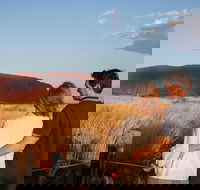 Uluru Ayers Rock Sunset with Outback Barbecue Dinner and Star Tour - Accommodation Port Hedland