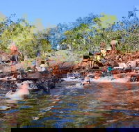 Litchfield and Jumping Crocodiles Full Day Trip from Darwin - Accommodation Port Hedland