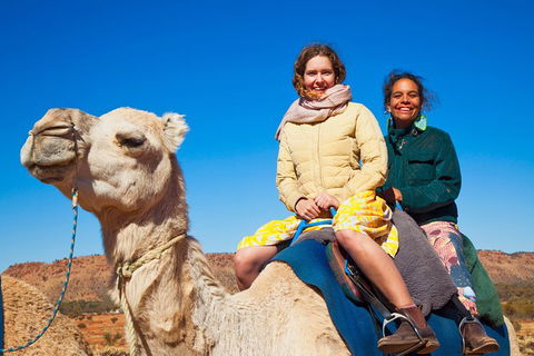 Alice Springs Camel Tour - Accommodation Port Hedland 8