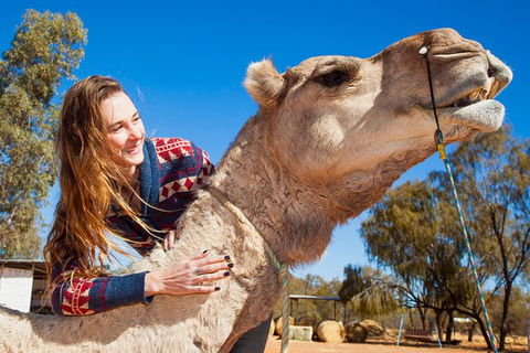 Alice Springs Camel Tour - Accommodation Port Hedland 6