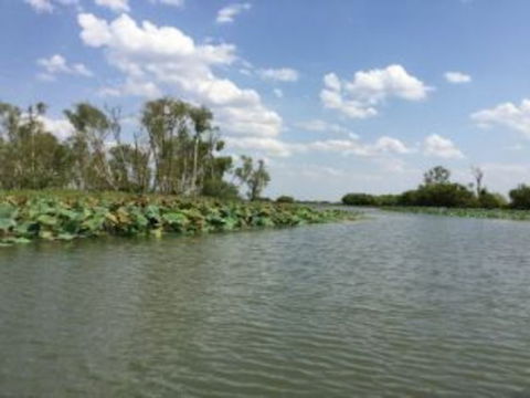 1 Day Corroboree Billabong Wetland Experience Including 2.5 Hour Cruise + Lunch - Accommodation Port Hedland 4